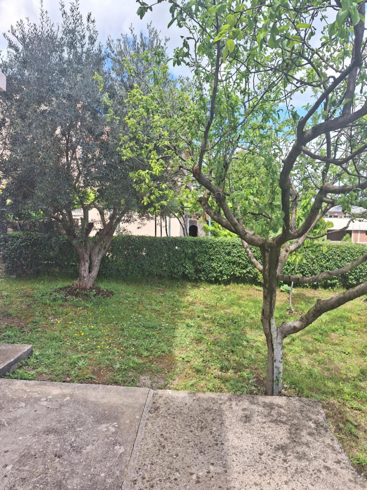 Apartment Ruza Podgorica